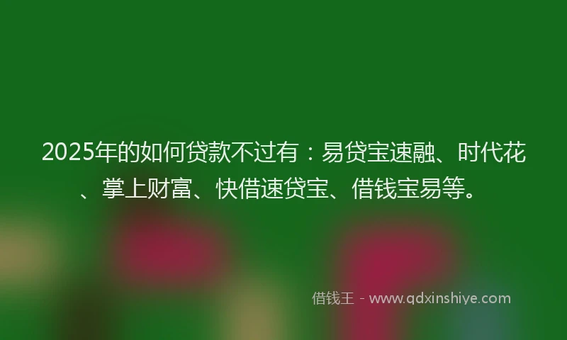 2025年的如何贷款不过有：易贷宝速融、时代花、掌上财富、快借速贷宝、借钱宝易等。