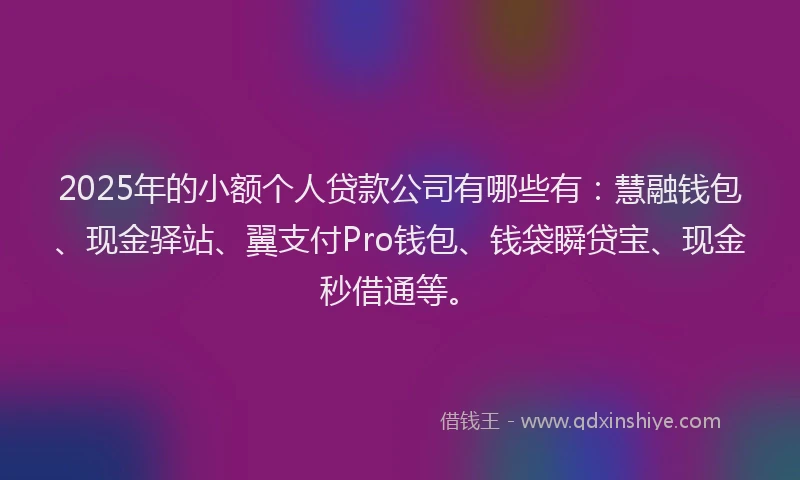 2025年的小额个人贷款公司有哪些有：慧融钱包、现金驿站、翼支付Pro钱包、钱袋瞬贷宝、现金秒借通等。