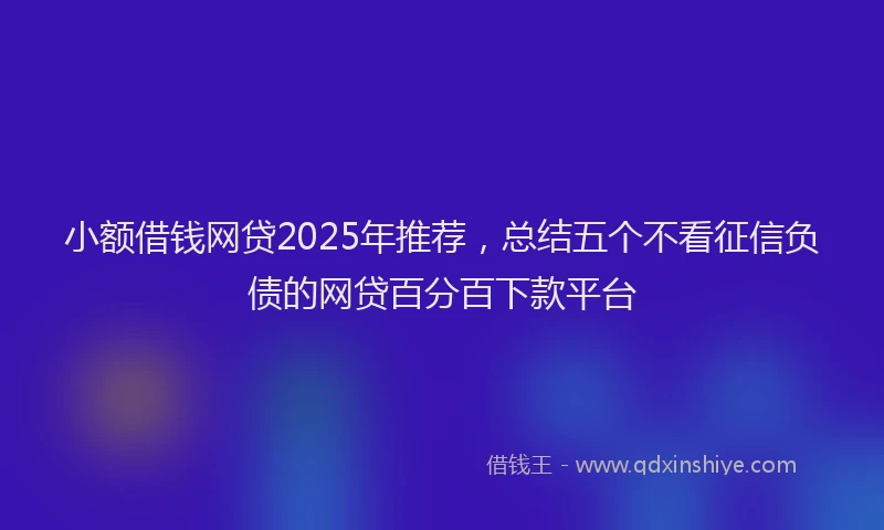 小额借钱网贷2025年推荐，总结五个不看征信负债的网贷百分百下款平台