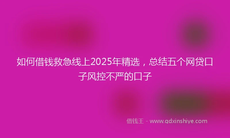 如何借钱救急线上2025年精选，总结五个网贷口子风控不严的口子