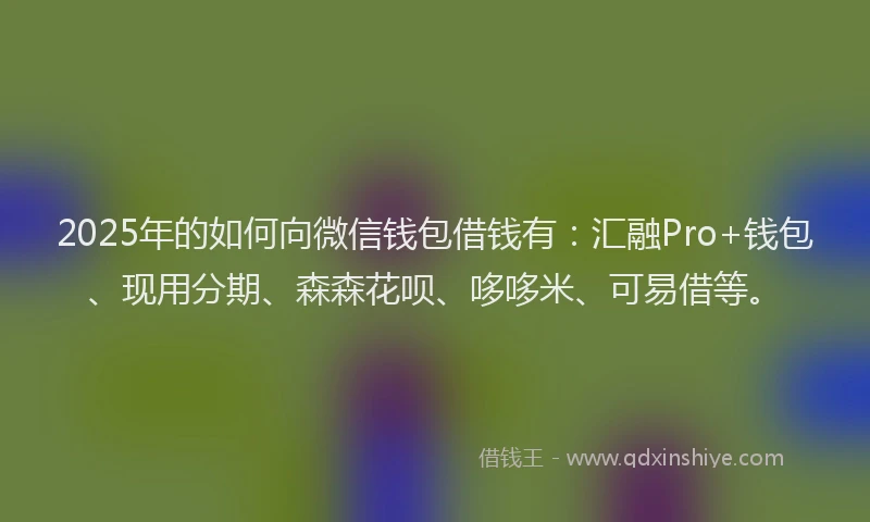 2025年的如何向微信钱包借钱有：汇融Pro+钱包、现用分期、森森花呗、哆哆米、可易借等。