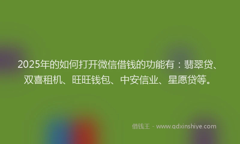 2025年的如何打开微信借钱的功能有：翡翠贷、双喜租机、旺旺钱包、中安信业、星愿贷等。
