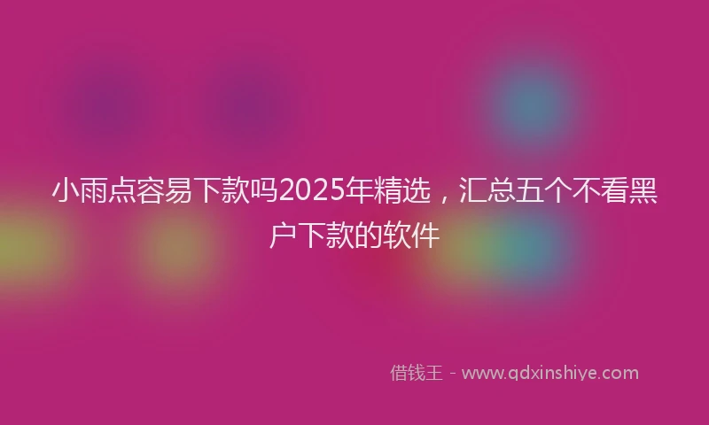 小雨点容易下款吗2025年精选,汇总五个不看黑户下款的软件