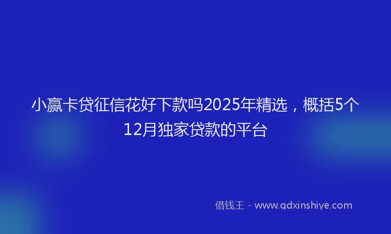 小赢卡贷征信花好下款吗2025年精选，概括5个12月独家贷款的平台