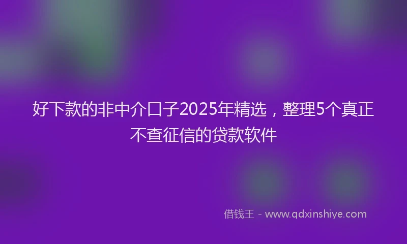 好下款的非中介口子2025年精选，整理5个真正不查征信的贷款软件