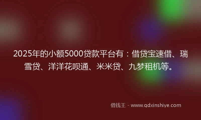 2025年的小额5000贷款平台有：借贷宝速借、瑞雪贷、洋洋花呗通、米米贷、九梦租机等。