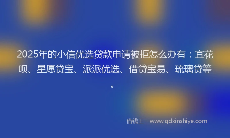 2025年的小信优选贷款申请被拒怎么办有：宜花呗、星愿贷宝、派派优选、借贷宝易、琉璃贷等。