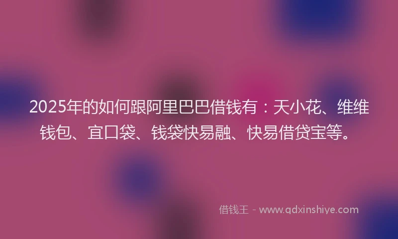 2025年的如何跟阿里巴巴借钱有：天小花、维维钱包、宜口袋、钱袋快易融、快易借贷宝等。