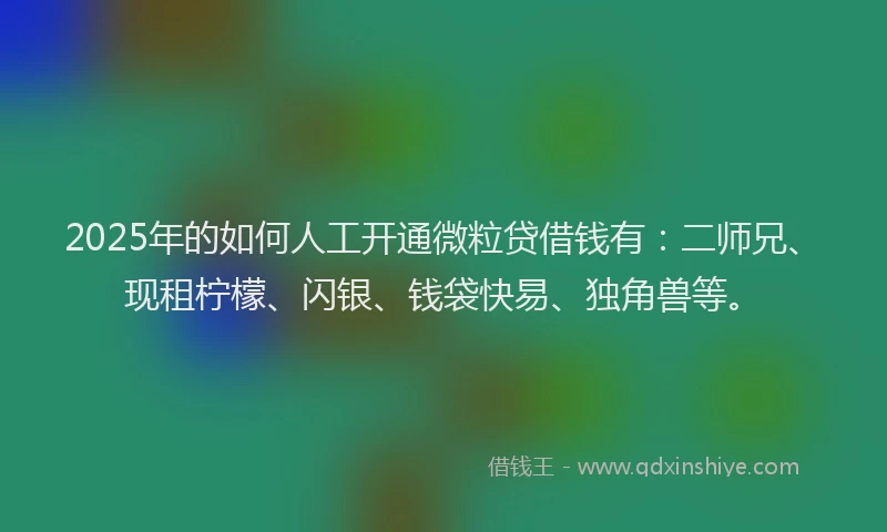 2025年的如何人工开通微粒贷借钱有：二师兄、现租柠檬、闪银、钱袋快易、独角兽等。