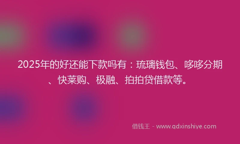 2025年的好还能下款吗有：琉璃钱包、哆哆分期、快莱购、极融、拍拍贷借款等。