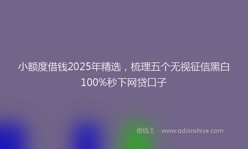 小额度借钱2025年精选,梳理五个无视征信黑白100%秒下网贷口子