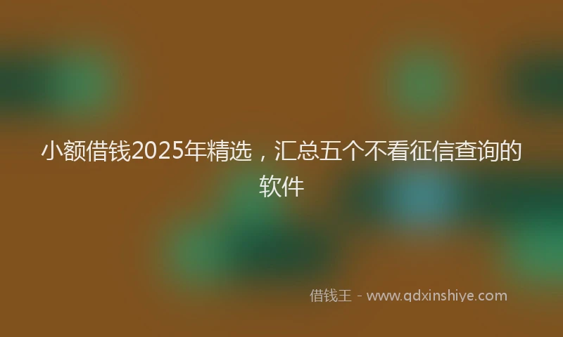 小额借钱2025年精选，汇总五个不看征信查询的软件