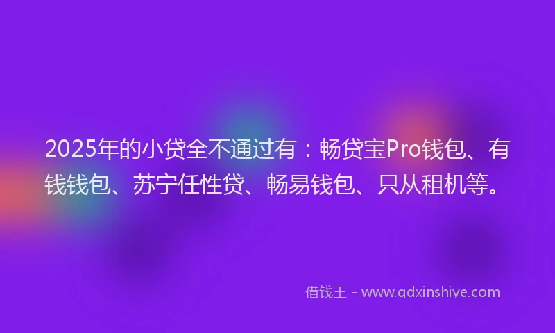 2025年的小贷全不通过有：畅贷宝Pro钱包、有钱钱包、苏宁任性贷、畅易钱包、只从租机等。