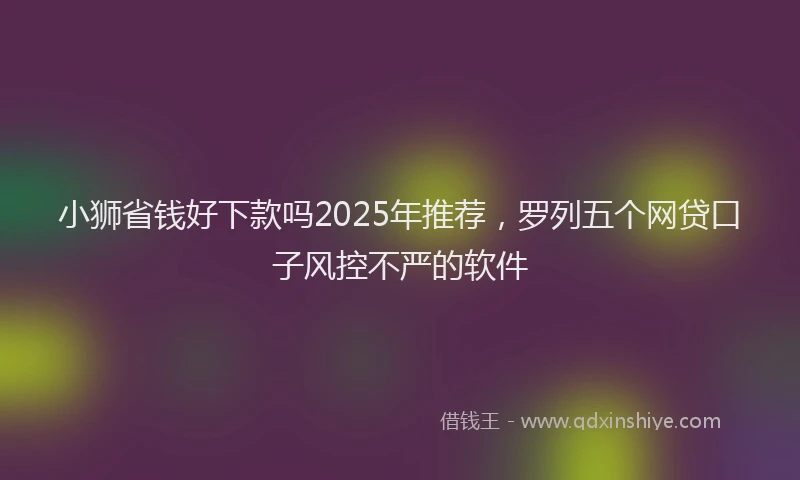 小狮省钱好下款吗2025年推荐，罗列五个网贷口子风控不严的软件