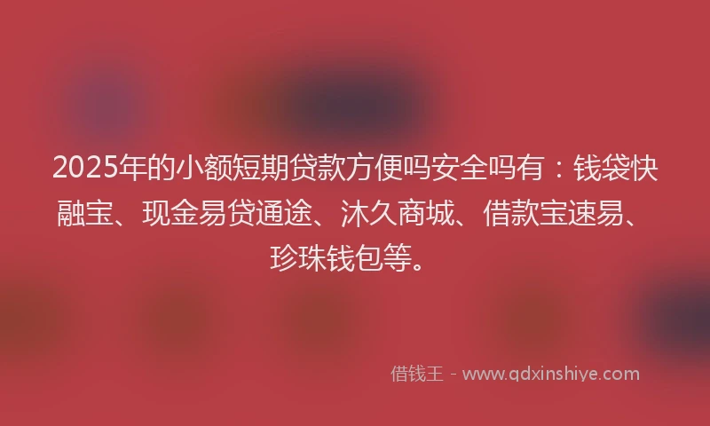2025年的小额短期贷款方便吗安全吗有：钱袋快融宝、现金易贷通途、沐久商城、借款宝速易、珍珠钱包等。