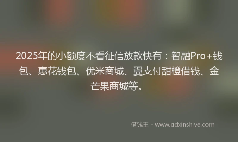 2025年的小额度不看征信放款快有：智融Pro+钱包、惠花钱包、优米商城、翼支付甜橙借钱、金芒果商城等。