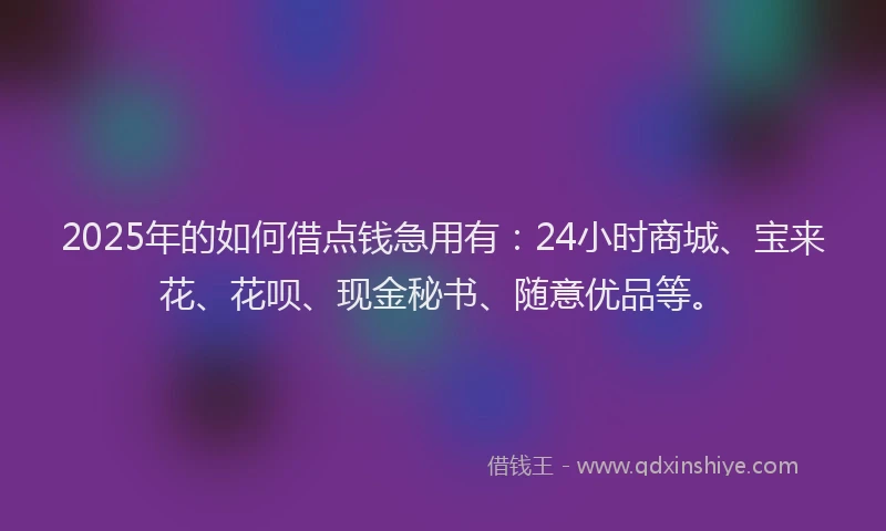 2025年的如何借点钱急用有：24小时商城、宝来花、花呗、现金秘书、随意优品等。
