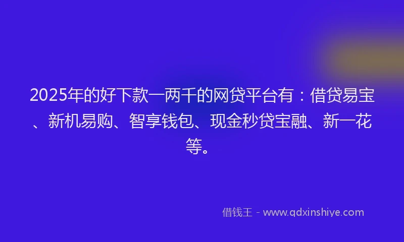 2025年的好下款一两千的网贷平台有：借贷易宝、新机易购、智享钱包、现金秒贷宝融、新一花等。