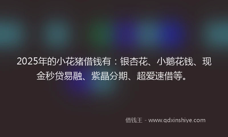 2025年的小花猪借钱有：银杏花、小鹅花钱、现金秒贷易融、紫晶分期、超爱速借等。