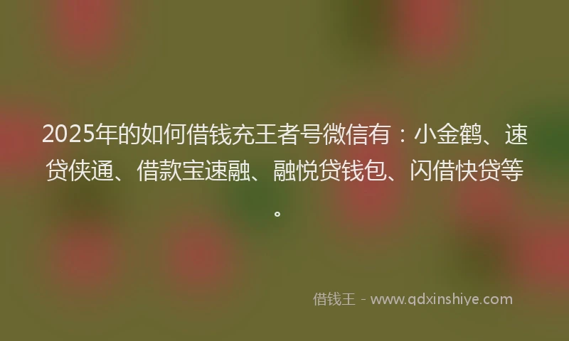 2025年的如何借钱充王者号微信有：小金鹤、速贷侠通、借款宝速融、融悦贷钱包、闪借快贷等。