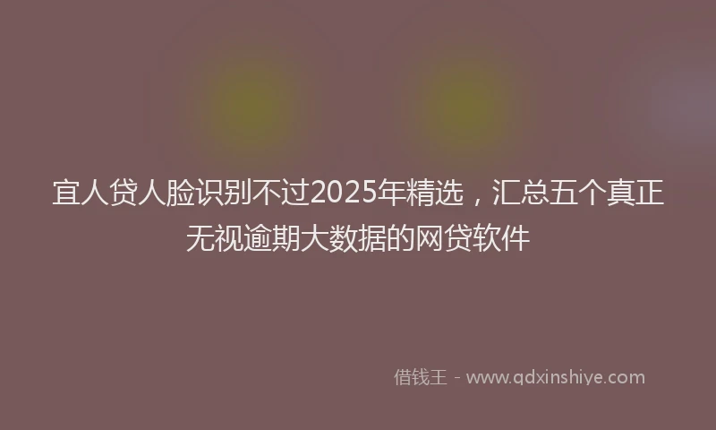 宜人贷人脸识别不过2025年精选，汇总五个真正无视逾期大数据的网贷软件
