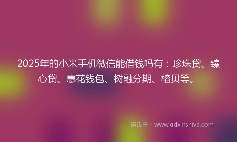 2025年的小米手机微信能借钱吗有：珍珠贷、臻心贷、惠花钱包、树融分期、榕贝等。