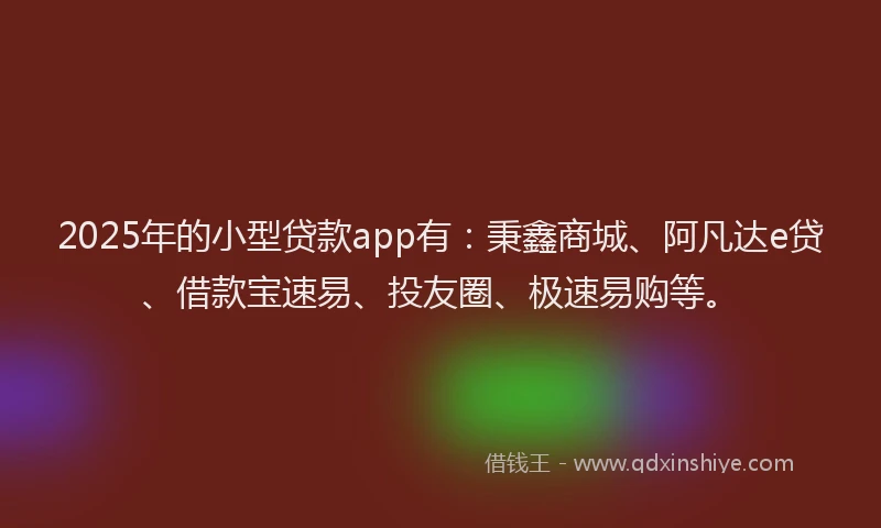 2025年的小型贷款app有：秉鑫商城、阿凡达e贷、借款宝速易、投友圈、极速易购等。