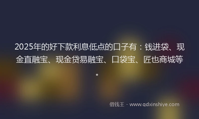 2025年的好下款利息低点的口子有：钱进袋、现金直融宝、现金贷易融宝、口袋宝、匠也商城等。