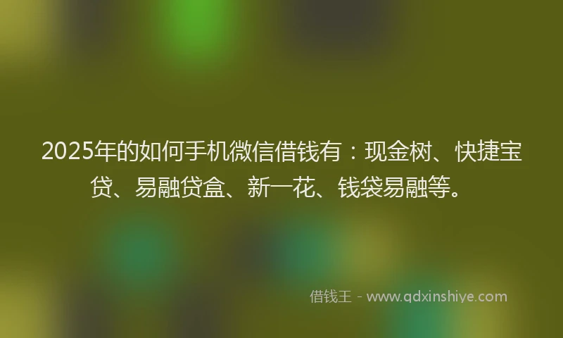 2025年的如何手机微信借钱有：现金树、快捷宝贷、易融贷盒、新一花、钱袋易融等。