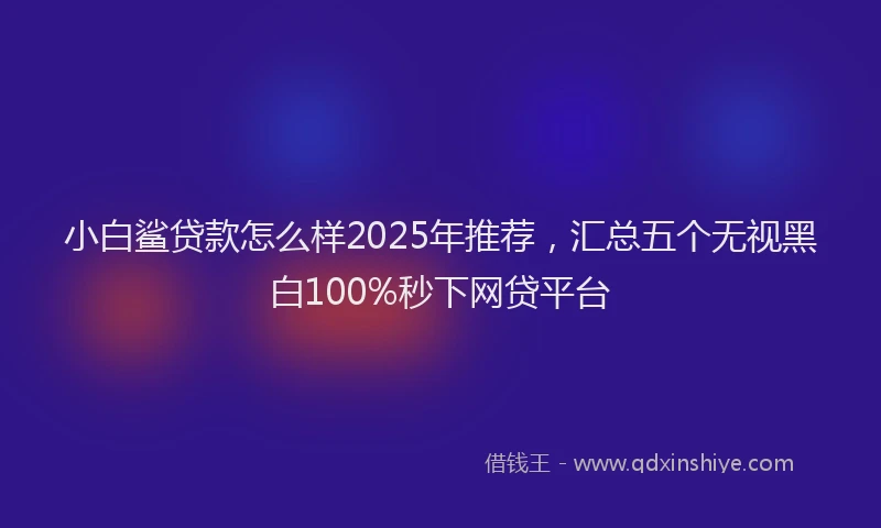 小白鲨贷款怎么样2025年推荐，汇总五个无视黑白100%秒下网贷平台