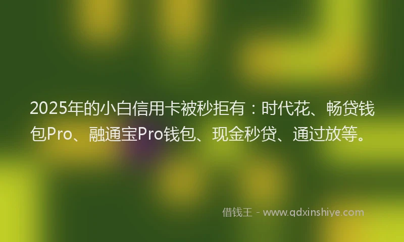 2025年的小白信用卡被秒拒有：时代花、畅贷钱包Pro、融通宝Pro钱包、现金秒贷、通过放等。