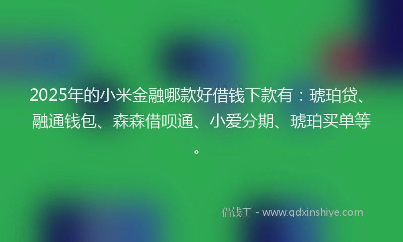 2025年的小米金融哪款好借钱下款有：琥珀贷、融通钱包、森森借呗通、小爱分期、琥珀买单等。