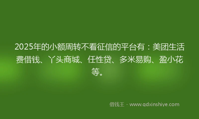 2025年的小额周转不看征信的平台有：美团生活费借钱、丫头商城、任性贷、多米易购、盈小花等。