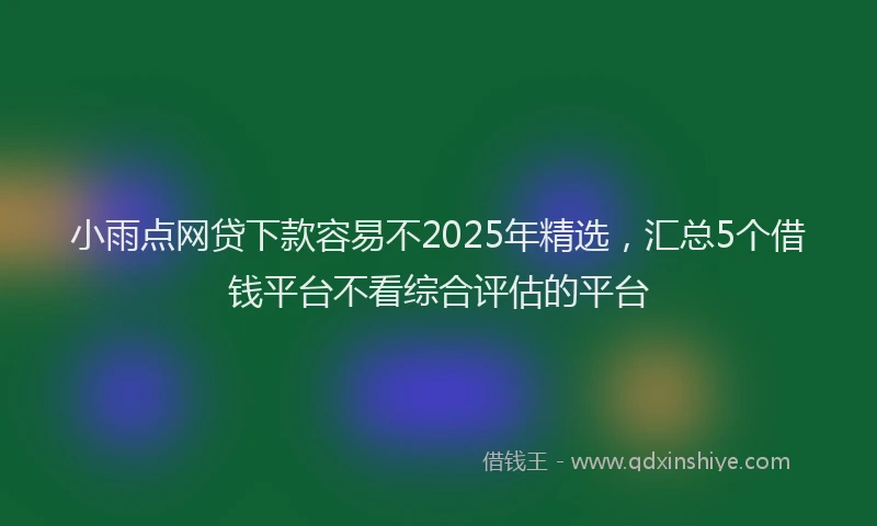 小雨点网贷下款容易不2025年精选，汇总5个借钱平台不看综合评估的平台