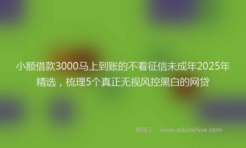 小额借款3000马上到账的不看征信未成年2025年精选，梳理5个真正无视风控黑白的网贷
