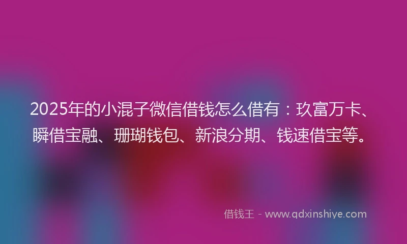 2025年的小混子微信借钱怎么借有：玖富万卡、瞬借宝融、珊瑚钱包、新浪分期、钱速借宝等。