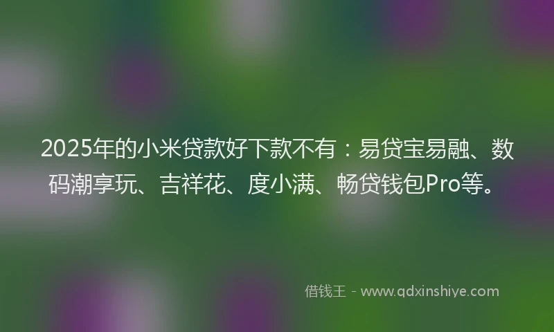2025年的小米贷款好下款不有：易贷宝易融、数码潮享玩、吉祥花、度小满、畅贷钱包Pro等。