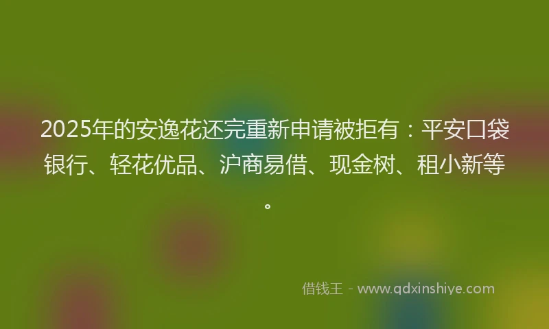 2025年的安逸花还完重新申请被拒有：平安口袋银行、轻花优品、沪商易借、现金树、租小新等。