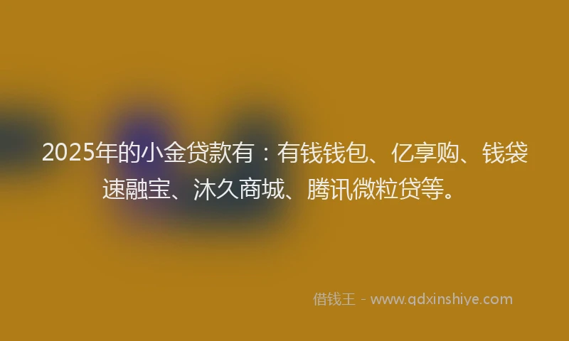 2025年的小金贷款有：有钱钱包、亿享购、钱袋速融宝、沐久商城、腾讯微粒贷等。