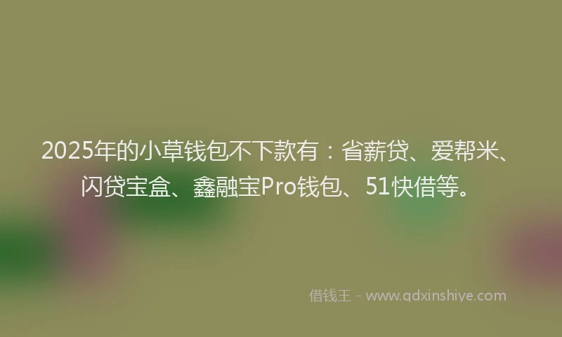 2025年的小草钱包不下款有：省薪贷、爱帮米、闪贷宝盒、鑫融宝Pro钱包、51快借等。