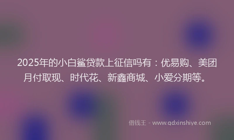 2025年的小白鲨贷款上征信吗有：优易购、美团月付取现、时代花、新鑫商城、小爱分期等。