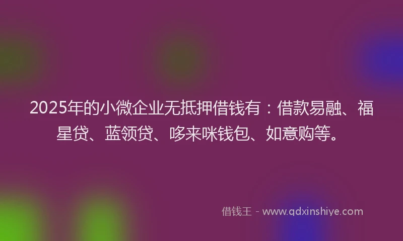 2025年的小微企业无抵押借钱有：借款易融、福星贷、蓝领贷、哆来咪钱包、如意购等。