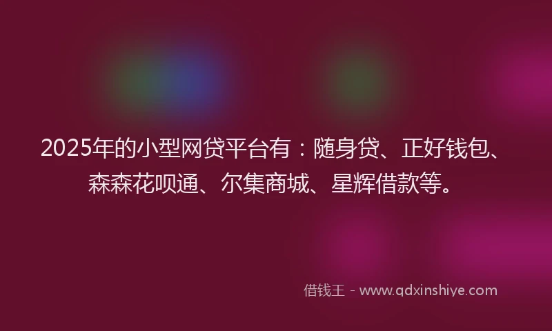 2025年的小型网贷平台有:随身贷、正好钱包、森森花呗通、尔集商城、星辉借款等。