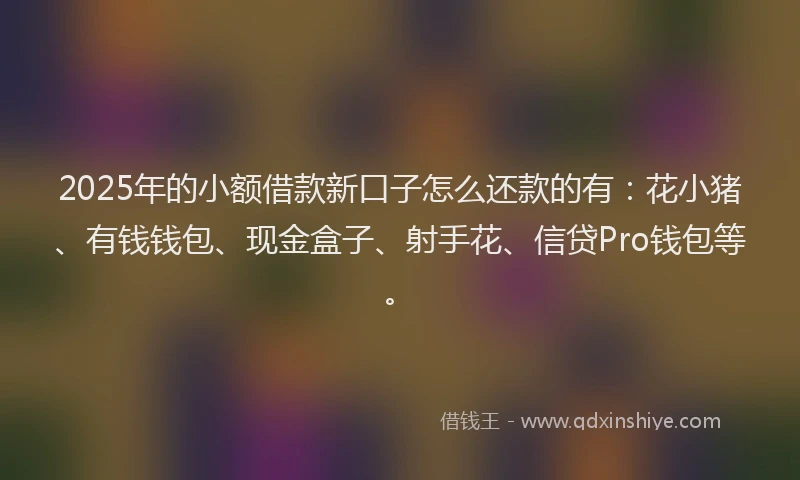2025年的小额借款新口子怎么还款的有：花小猪、有钱钱包、现金盒子、射手花、信贷Pro钱包等。