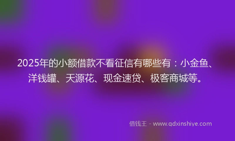 2025年的小额借款不看征信有哪些有：小金鱼、洋钱罐、天源花、现金速贷、极客商城等。