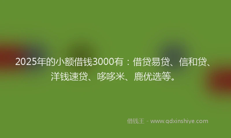 2025年的小额借钱3000有：借贷易贷、信和贷、洋钱速贷、哆哆米、鹿优选等。