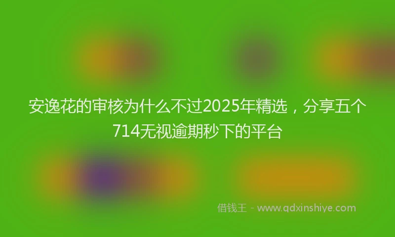 安逸花的审核为什么不过2025年精选，分享五个714无视逾期秒下的平台