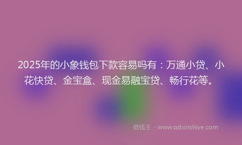 2025年的小象钱包下款容易吗有：万通小贷、小花快贷、金宝盒、现金易融宝贷、畅行花等。