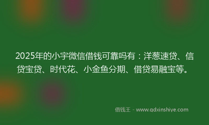 2025年的小宇微信借钱可靠吗有：洋葱速贷、信贷宝贷、时代花、小金鱼分期、借贷易融宝等。