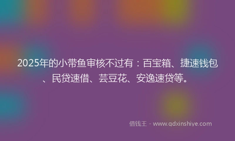 2025年的小带鱼审核不过有：百宝箱、捷速钱包、民贷速借、芸豆花、安逸速贷等。